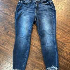 Judy Blue Boyfriend Fit Jeans Size 14W